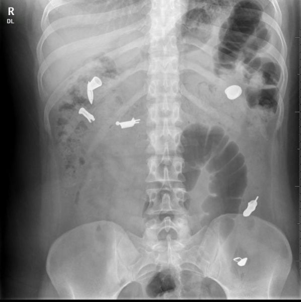 morning picdump 56 pics 12.html - 56 HD Photos | Premium Gallery 2012