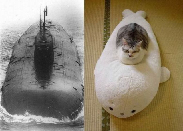 morning picdump 56 pics 12.html - 56 HD Photos | Premium Gallery 2012