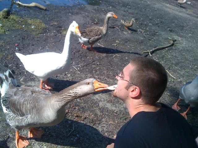 morning picdump 56 pics 12.html - 56 HD Photos | Premium Gallery 2012