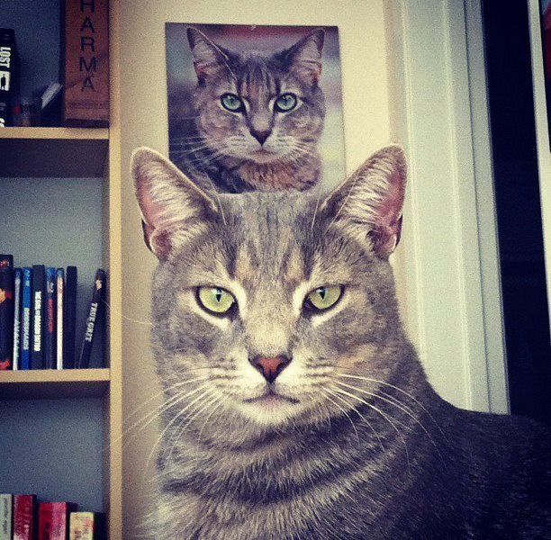 Daily Picdump