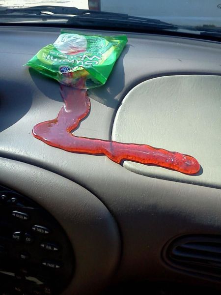 Daily Picdump