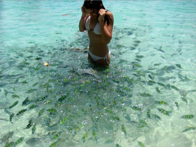 morning picdump 60 pics 9.html - 60 HD Photos | Premium Gallery 2012