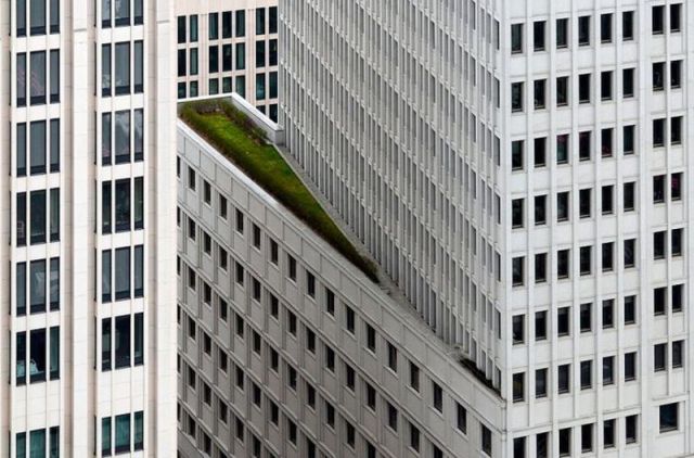 morning picdump 55 pics 1.html - 55 HD Photos | Premium Gallery 2012