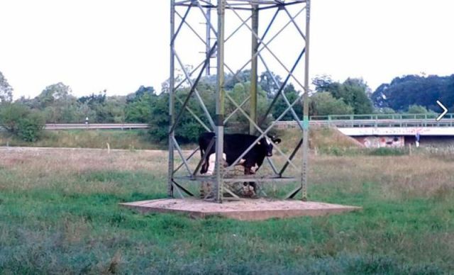 morning picdump 55 pics 1.html - 55 HD Photos | Premium Gallery 2012