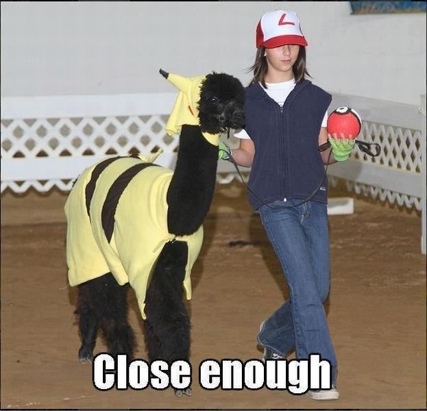 morning picdump 55 pics 1.html - 55 HD Photos | Premium Gallery 2012