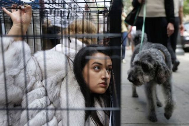 morning picdump 55 pics 1.html - 55 HD Photos | Premium Gallery 2012