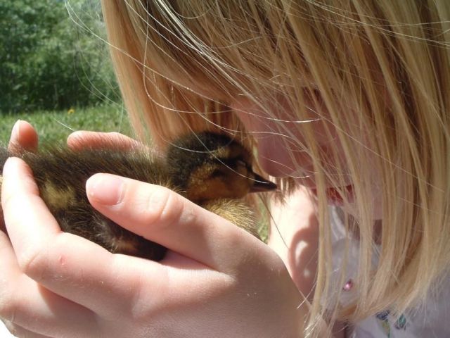 morning picdump 55 pics 1.html - 55 HD Photos | Premium Gallery 2012