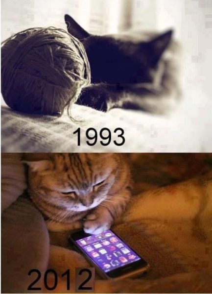 morning picdump 59 pics 17.html - 59 HD Photos | Premium Gallery 2012