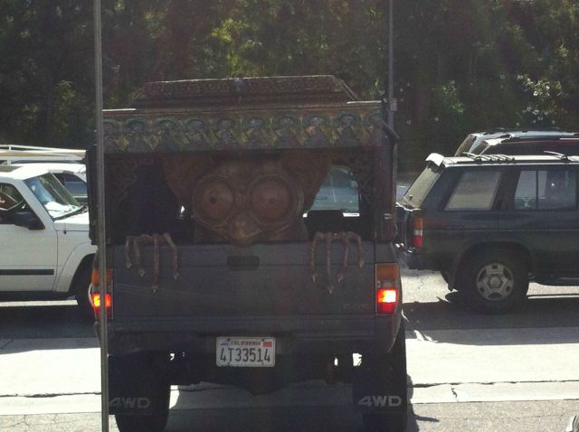 morning picdump 59 pics 17.html - 59 HD Photos | Premium Gallery 2012