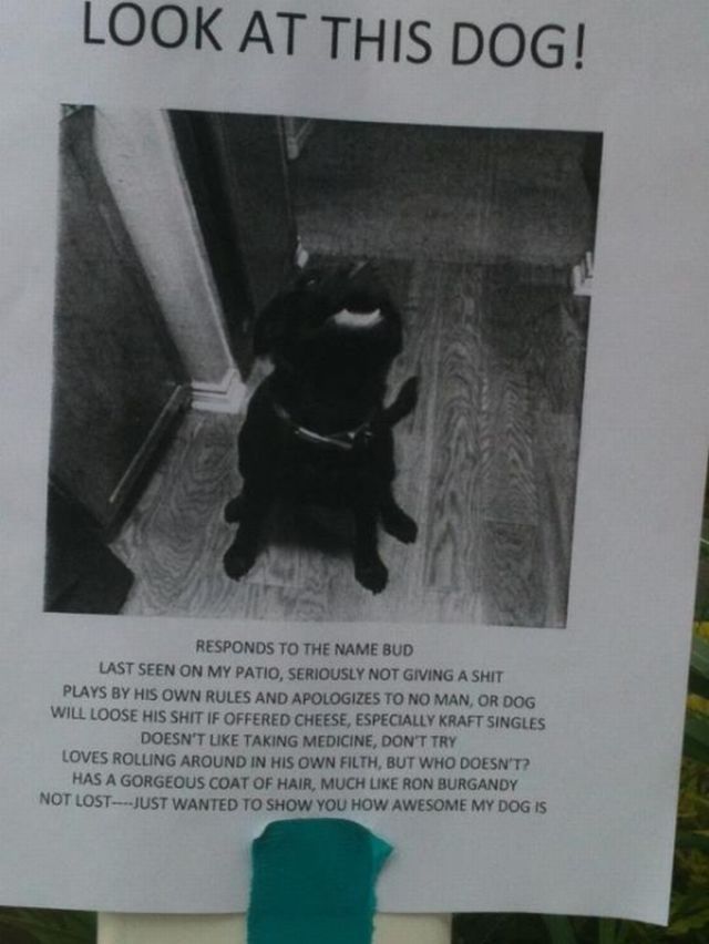 morning picdump 59 pics 17.html - 59 HD Photos | Premium Gallery 2012