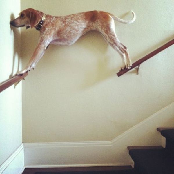 Morning Picdump