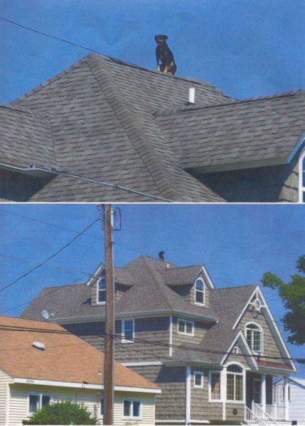 morning picdump 56 pics 6.html - 56 HD Photos | Premium Gallery 2012