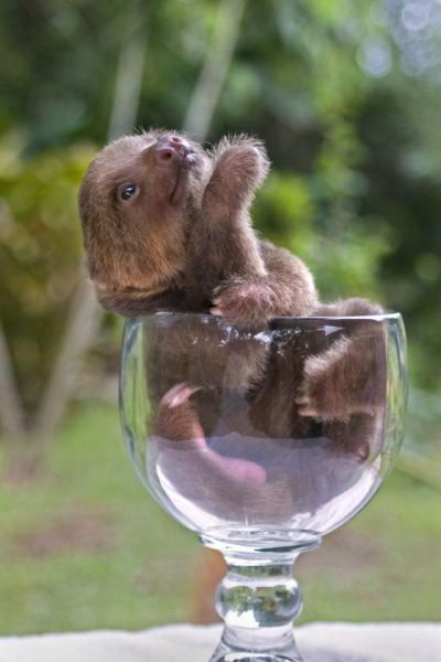 Daily Picdump [WEEKEND EDITION]