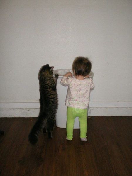 morning picdump 63 pics 2.html - 63 HD Photos | Premium Gallery 2012