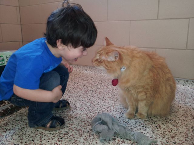 morning picdump 63 pics 2.html - 63 HD Photos | Premium Gallery 2012