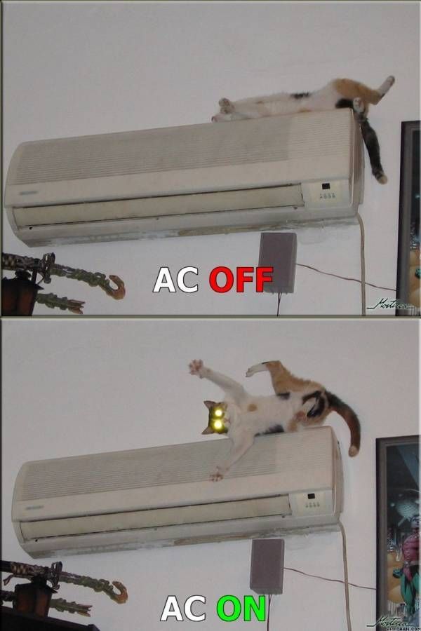 morning picdump 63 pics 2.html - 63 HD Photos | Premium Gallery 2012