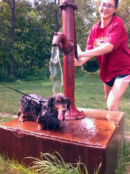 morning picdump 51 pics 1.html - 51 HD Photos | Premium Gallery 2012