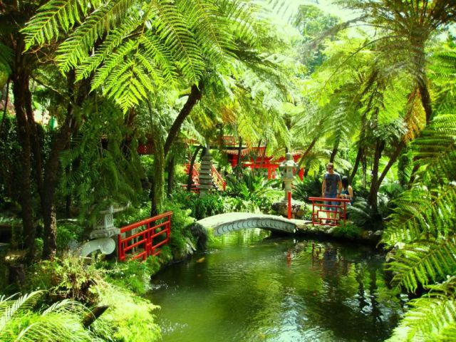 morning picdump 51 pics 1.html - 51 HD Photos | Premium Gallery 2012