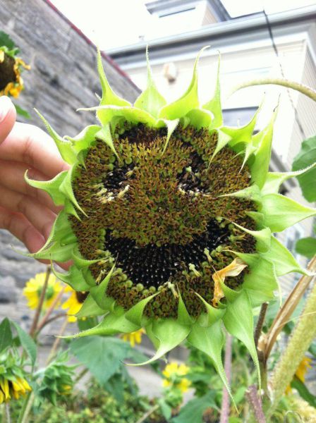 morning picdump 51 pics 1.html - 51 HD Photos | Premium Gallery 2012