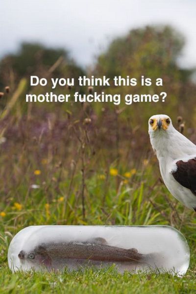 morning picdump 56 pics 12.html - 56 HD Photos | Premium Gallery 2012