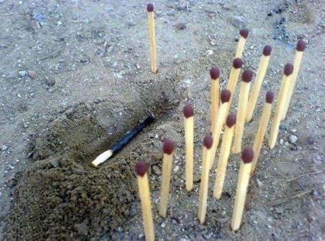 morning picdump 56 pics 12.html - 56 HD Photos | Premium Gallery 2012