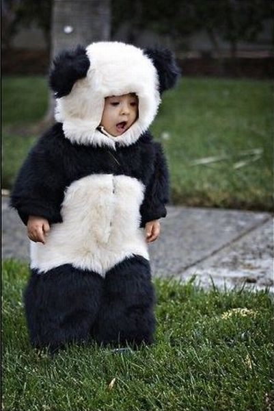 morning picdump 56 pics 12.html - 56 HD Photos | Premium Gallery 2012