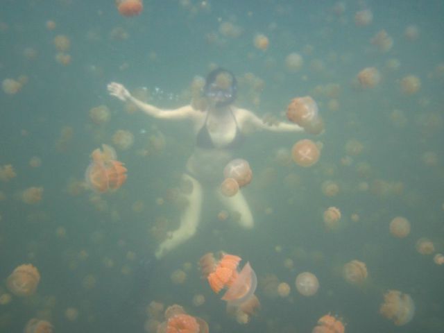 morning picdump 56 pics 12.html - 56 HD Photos | Premium Gallery 2012