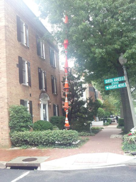 morning picdump 56 pics 12.html - 56 HD Photos | Premium Gallery 2012