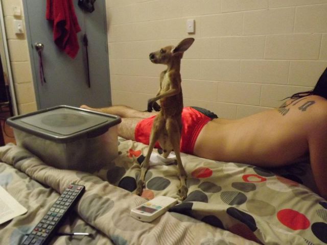 morning picdump 56 pics 12.html - 56 HD Photos | Premium Gallery 2012