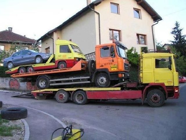 Daily Picdump
