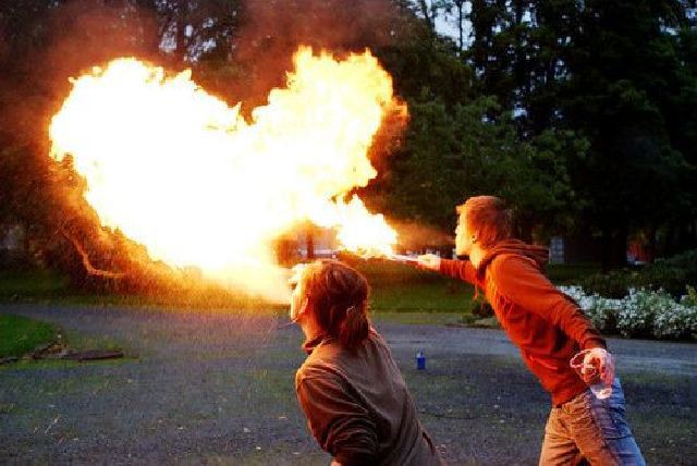 Daily Picdump