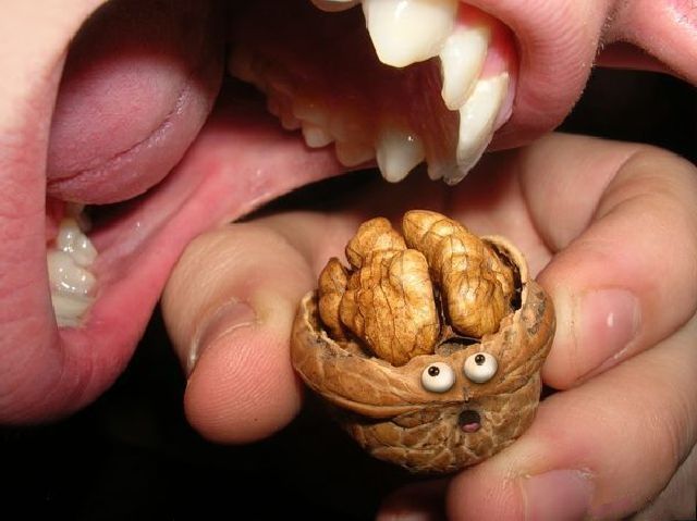daily picdump 98 pics 2.html - 98 HD Photos | Premium Gallery 2012