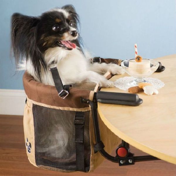 daily picdump 98 pics 2.html - 98 HD Photos | Premium Gallery 2012