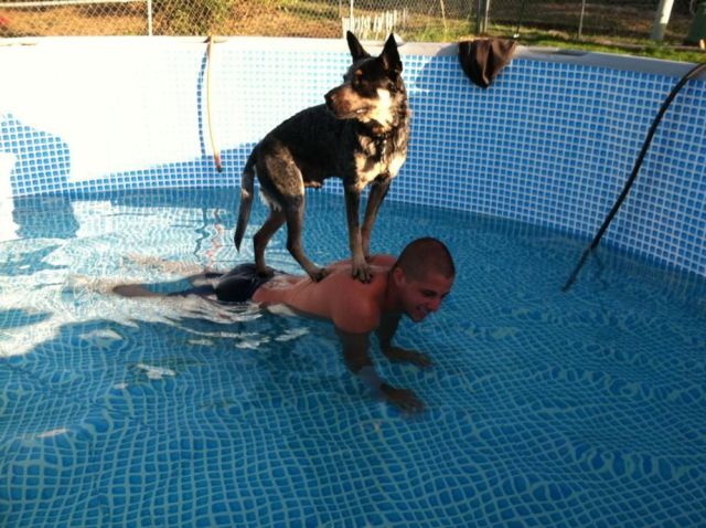 daily picdump 98 pics 2.html - 98 HD Photos | Premium Gallery 2012