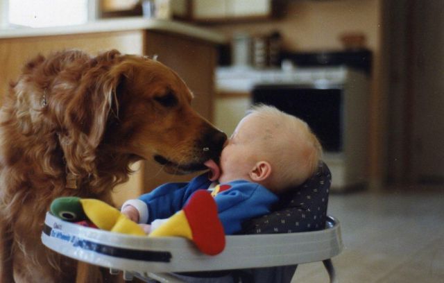 morning picdump 58 pics 30.html - 58 HD Photos | Premium Gallery 2012
