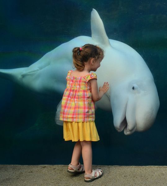 morning picdump 58 pics 30.html - 58 HD Photos | Premium Gallery 2012