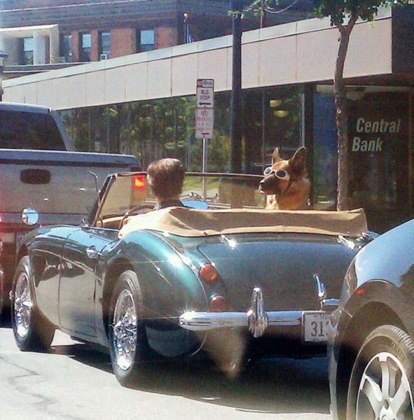 morning picdump 56 pics 19.html - 56 HD Photos | Premium Gallery 2012