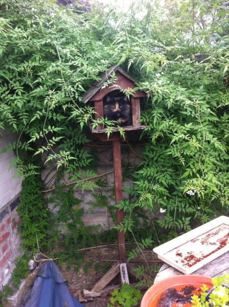 Daily Picdump [WEEKEND EDITION]