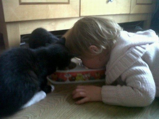 Daily Picdump [WEEKEND EDITION]