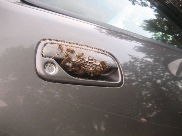 daily picdump weekend edition 106 pics 9.html - 106 HD Photos | Premium Gallery 2012