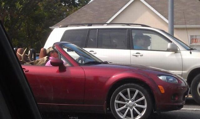 daily picdump weekend edition 106 pics 9.html - 106 HD Photos | Premium Gallery 2012