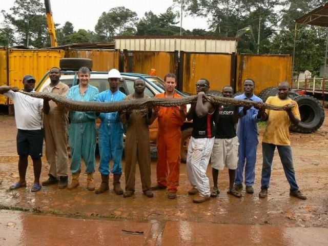 daily picdump weekend edition 106 pics 9.html - 106 HD Photos | Premium Gallery 2012