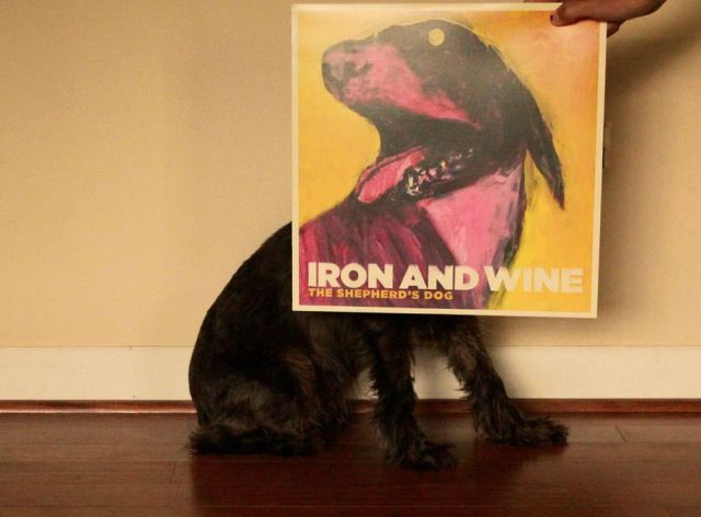 daily picdump weekend edition 106 pics 9.html - 106 HD Photos | Premium Gallery 2012