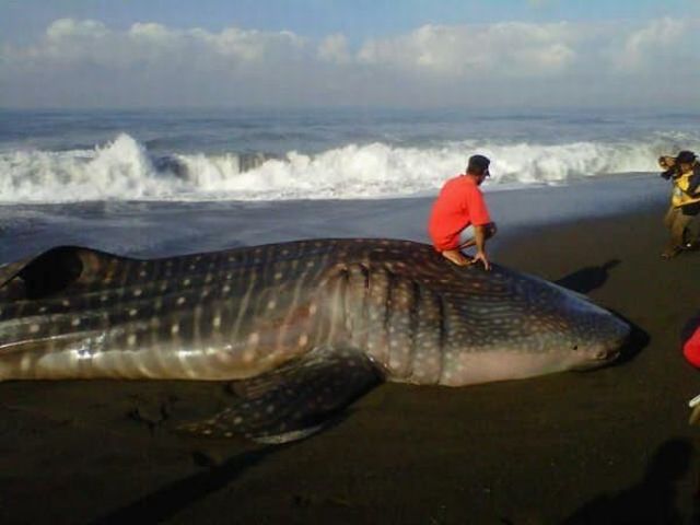 daily picdump weekend edition 106 pics 9.html - 106 HD Photos | Premium Gallery 2012