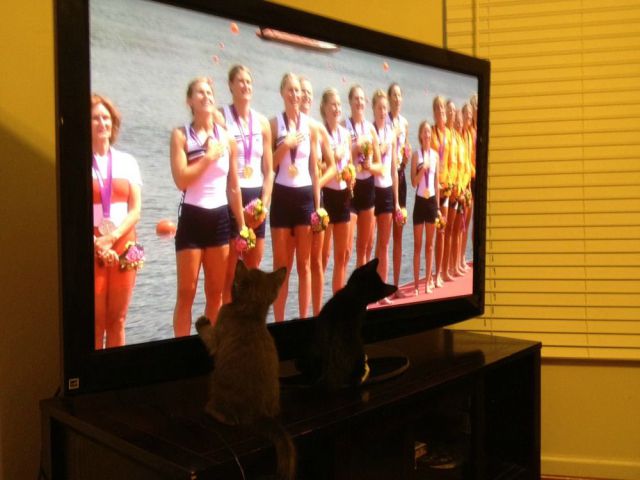 daily picdump weekend edition 106 pics 9.html - 106 HD Photos | Premium Gallery 2012