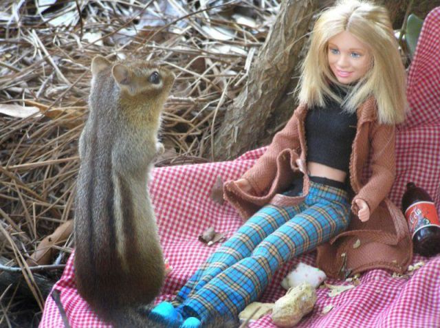 daily picdump weekend edition 106 pics 9.html - 106 HD Photos | Premium Gallery 2012