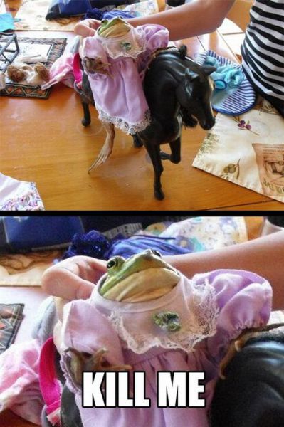 daily picdump weekend edition 106 pics 9.html - 106 HD Photos | Premium Gallery 2012