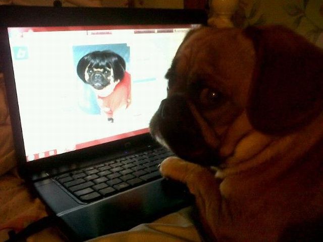 daily picdump weekend edition 106 pics 9.html - 106 HD Photos | Premium Gallery 2012