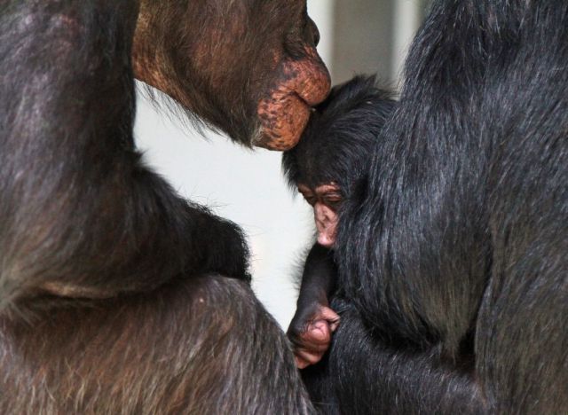 daily picdump weekend edition 106 pics 9.html - 106 HD Photos | Premium Gallery 2012