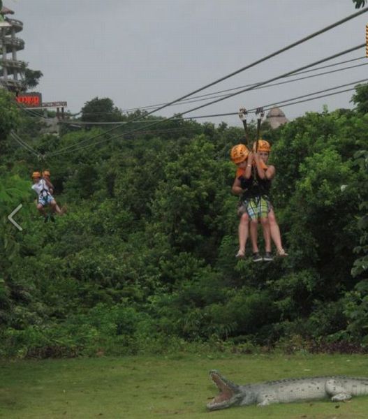 daily picdump weekend edition 106 pics 9.html - 106 HD Photos | Premium Gallery 2012